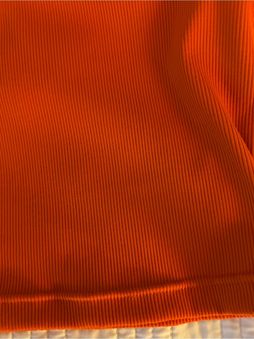 Florida Gator Ribbed Crop Top - Picture 3 of 3